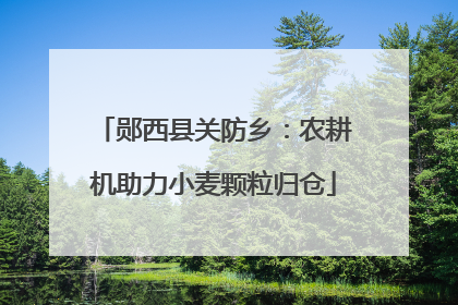 郧西县关防乡：农耕机助力小麦颗粒归仓
