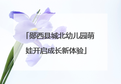 郧西县城北幼儿园萌娃开启成长新体验
