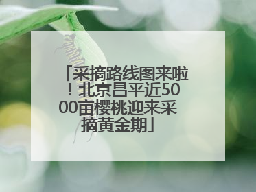 采摘路线图来啦！北京昌平近5000亩樱桃迎来采摘黄金期