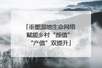 重塑湿地生命网络 赋能乡村“颜值”“产值”双提升