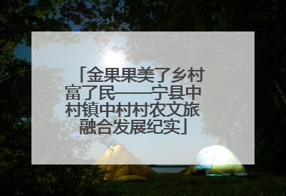 金果果美了乡村富了民——宁县中村镇中村村农文旅融合发展纪实