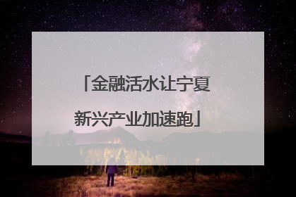 金融活水让宁夏新兴产业加速跑