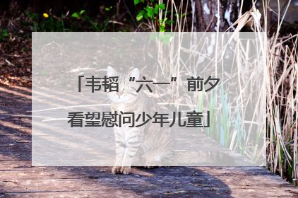 韦韬“六一”前夕看望慰问少年儿童
