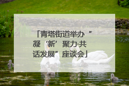 青塔街道举办“凝‘新’聚力·共话发展”座谈会