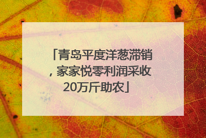 青岛平度洋葱滞销，家家悦零利润采收20万斤助农