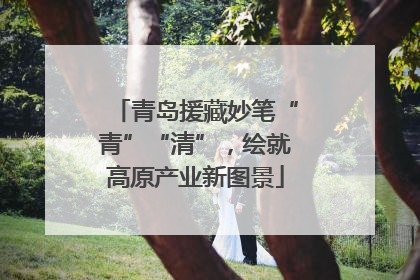 青岛援藏妙笔“青”“清”，绘就高原产业新图景