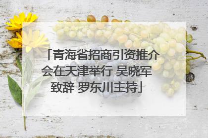 青海省招商引资推介会在天津举行 吴晓军致辞 罗东川主持