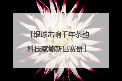 银球击响千年茶韵 科技赋能新昌赛景