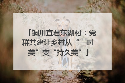 铜川宜君东湖村：党群共建让乡村从“一时美”变“持久美”