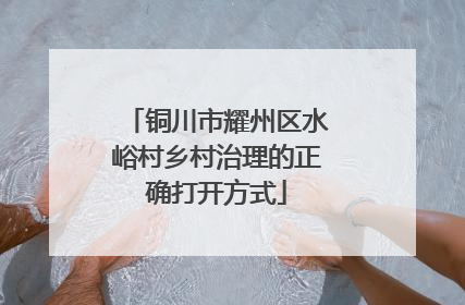 铜川市耀州区水峪村乡村治理的正确打开方式
