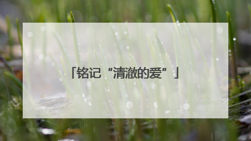 铭记“清澈的爱”