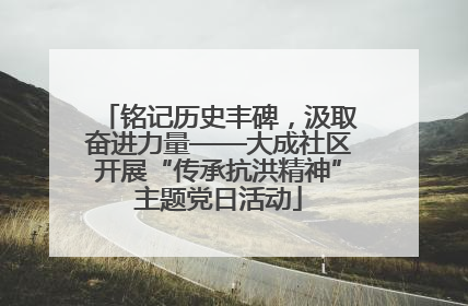 铭记历史丰碑，汲取奋进力量——大成社区开展“传承抗洪精神”主题党日活动