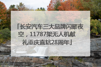 长安汽车三大品牌闪耀夜空，11787架无人机献礼重庆直辖28周年