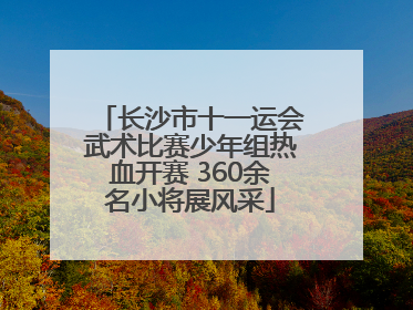 长沙市十一运会武术比赛少年组热血开赛 360余名小将展风采