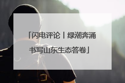 闪电评论丨绿潮奔涌 书写山东生态答卷