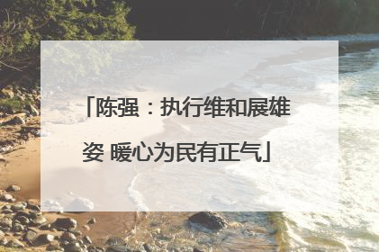 陈强：执行维和展雄姿 暖心为民有正气