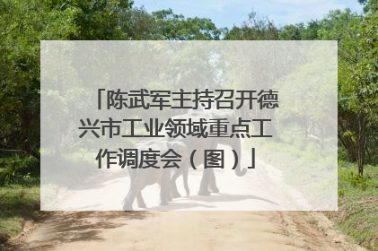 陈武军主持召开德兴市工业领域重点工作调度会（图）