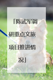 陈武军调研重点文旅项目推进情况