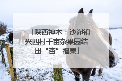 陕西神木：沙峁镇兴四村千亩杂果园结出“杏”福果
