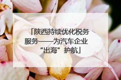 陕西持续优化税务服务——为汽车企业“出海”护航