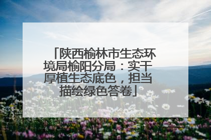 陕西榆林市生态环境局榆阳分局：实干厚植生态底色，担当描绘绿色答卷