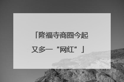 隆福寺商圈今起又多一“网红”