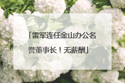 雷军连任金山办公名誉董事长！无薪酬