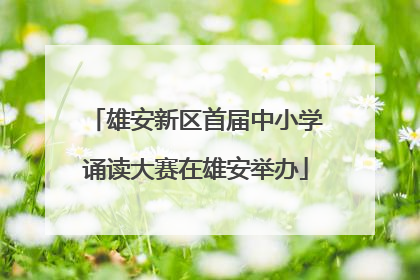 雄安新区首届中小学诵读大赛在雄安举办