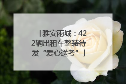 雅安雨城：422辆出租车整装待发“爱心送考”