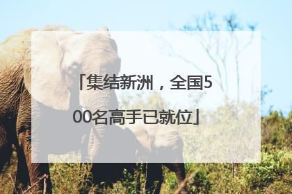 集结新洲，全国500名高手已就位
