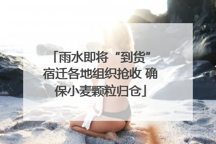 雨水即将“到货” 宿迁各地组织抢收 确保小麦颗粒归仓