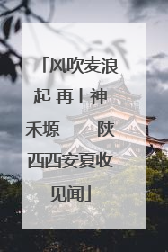 风吹麦浪起 再上神禾塬——陕西西安夏收见闻