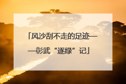 风沙刮不走的足迹——彰武“逐绿”记