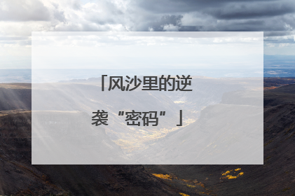 风沙里的逆袭“密码”