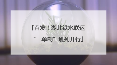 首发！湖北铁水联运“一单制”班列开行