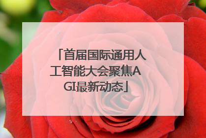 首届国际通用人工智能大会聚焦AGI最新动态