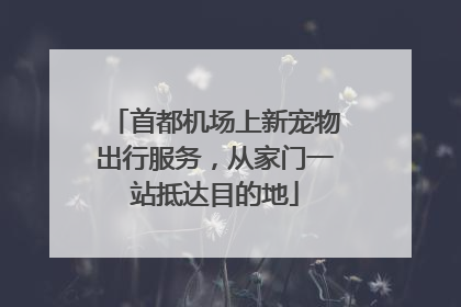首都机场上新宠物出行服务，从家门一站抵达目的地