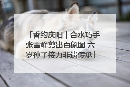 香约庆阳｜合水巧手张雪峰剪出百象图 六岁孙子接力非遗传承