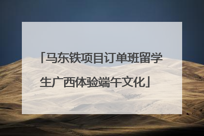 马东铁项目订单班留学生广西体验端午文化