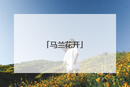 马兰花开