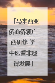 马来西亚侨商侨领广西研修 学中医看非遗谋发展