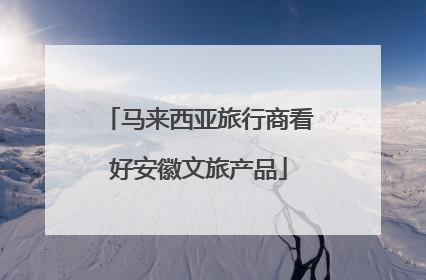 马来西亚旅行商看好安徽文旅产品