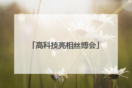 高科技亮相丝博会