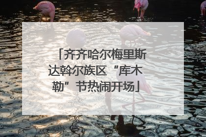 齐齐哈尔梅里斯达斡尔族区“库木勒”节热闹开场
