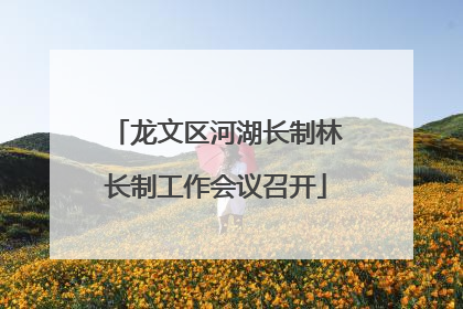 龙文区河湖长制林长制工作会议召开