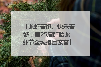 龙虾管饱、快乐管够，第25届盱眙龙虾节全城抱团宠客