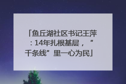 鱼丘湖社区书记王萍：14年扎根基层，“千条线”里一心为民