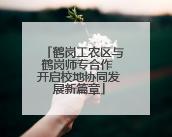 鹤岗工农区与鹤岗师专合作 开启校地协同发展新篇章