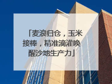 麦浪归仓，玉米接棒，精准滴灌唤醒沙地生产力
