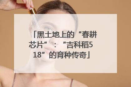 黑土地上的“春耕芯片”：“吉科稻518”的育种传奇